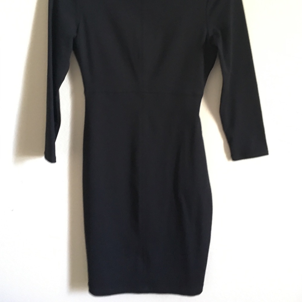 David Lerner Dress